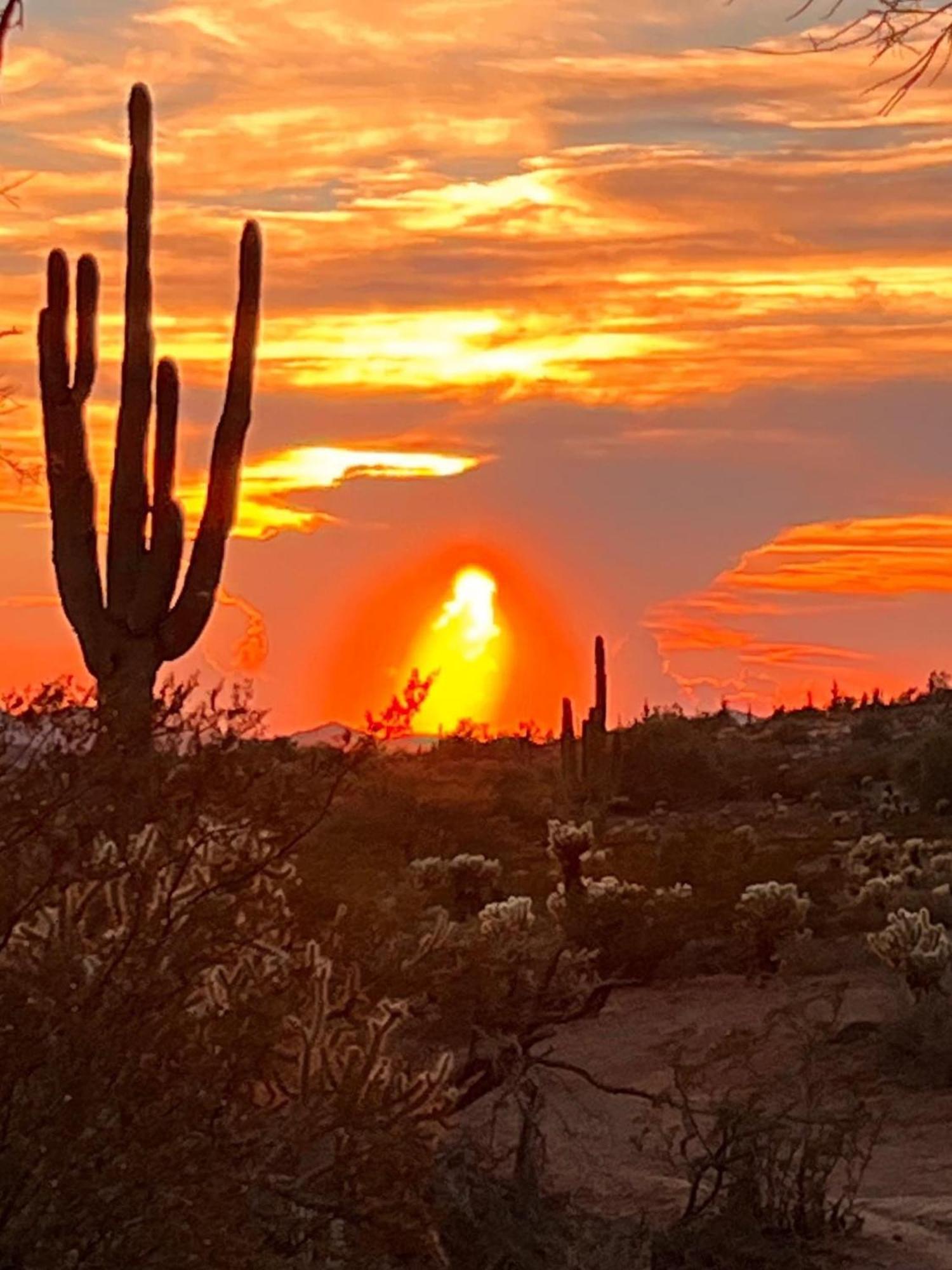 Camelback #102 Phoenix